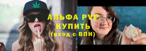 шишки Балахна