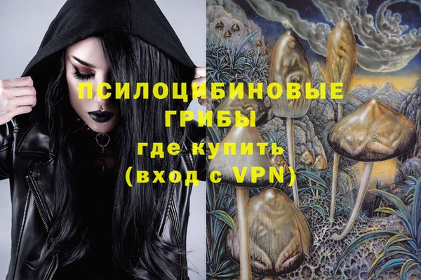тгк Беломорск