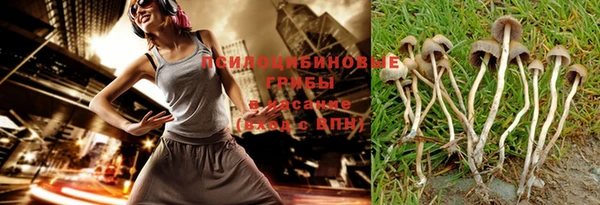 скорость mdpv Белокуриха