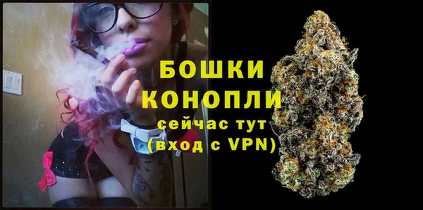 шишки Балахна