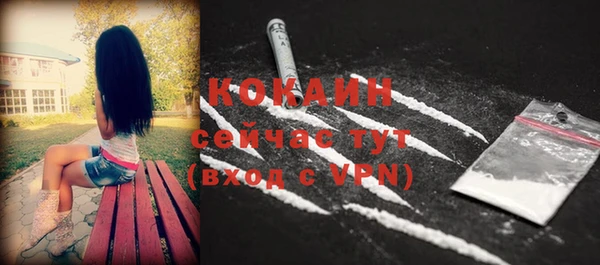 шишки Балахна